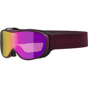 Alpina Sports CHALLENGE 2.0 HM Sjezdové brýle, černá, velikost
