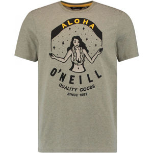 O'Neill LM WAIMEA T-SHIRT tmavě zelená XS - Pánské tričko
