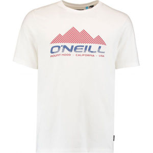 O'Neill LM DAN T-SHIRT  L - Pánské tričko
