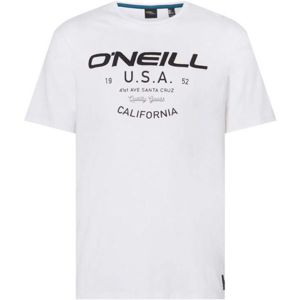 O'Neill LM DAWSON T-SHIRT bílá L - Pánské tričko