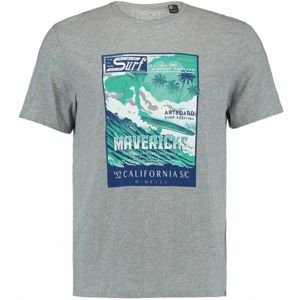 O'Neill LM MAVERICKS T-SHIRT šedá S - Pánské tričko