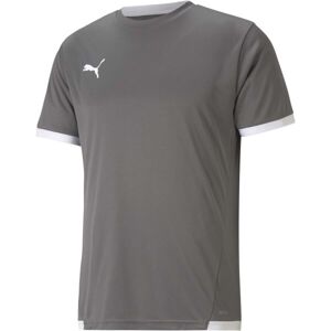 Puma TEAM LIGA JERSEY Pánské fotbalové triko, šedá, veľkosť L