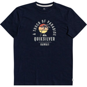 Quiksilver QUIET HOUR SS Pánské triko, Tmavě modrá,Bílá, velikost S